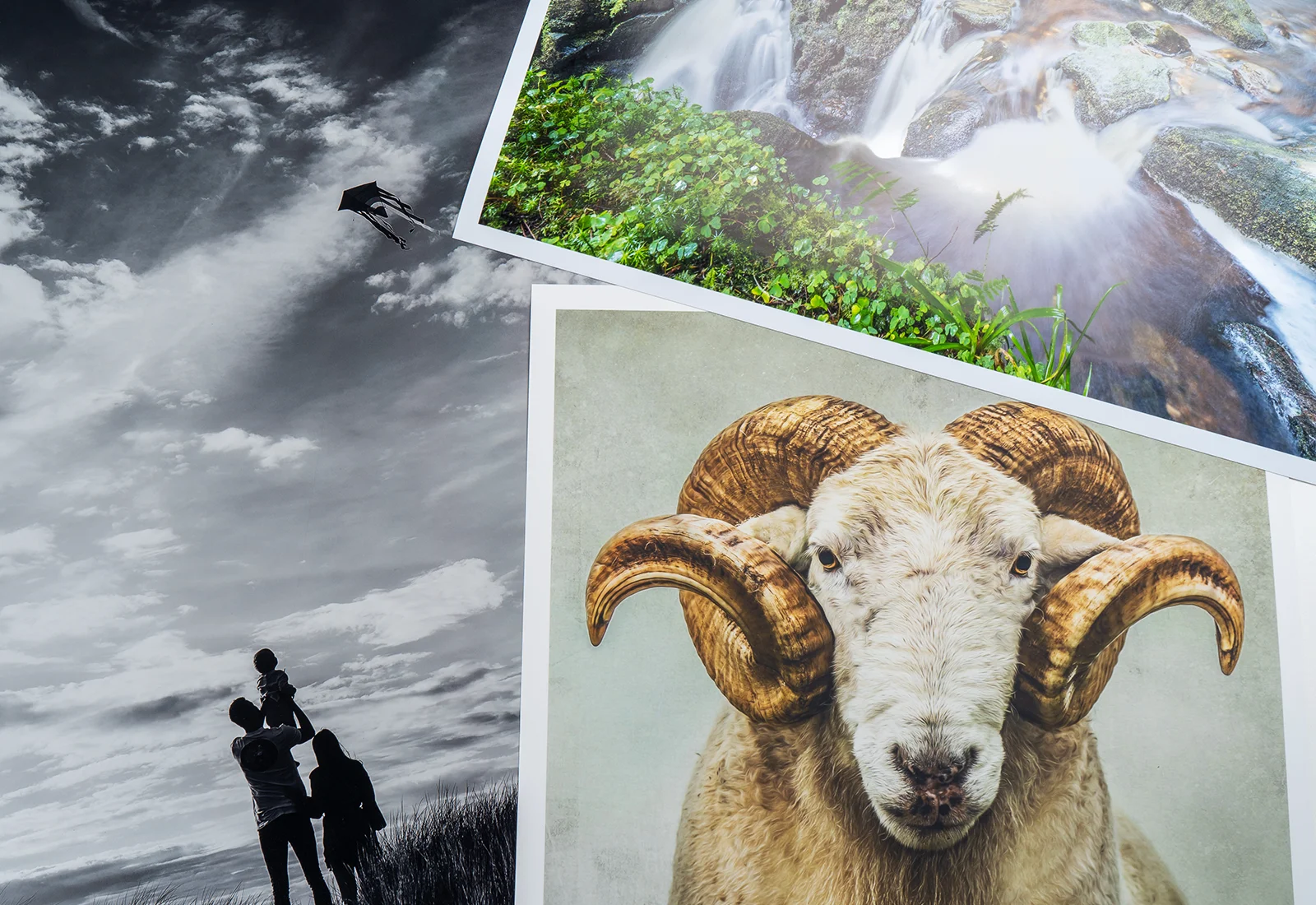Large Format Photo Printing