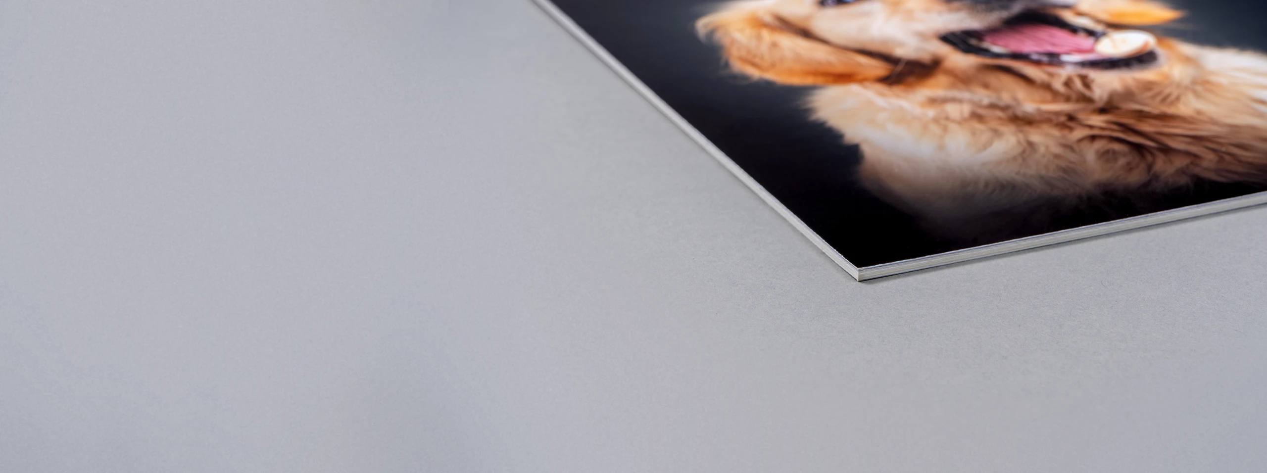 Board Mounted Prints