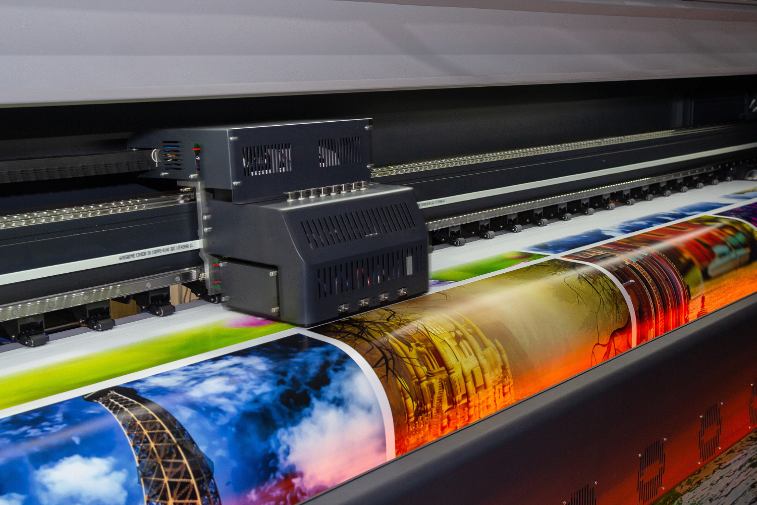 Pro Print Lab Test Winner's