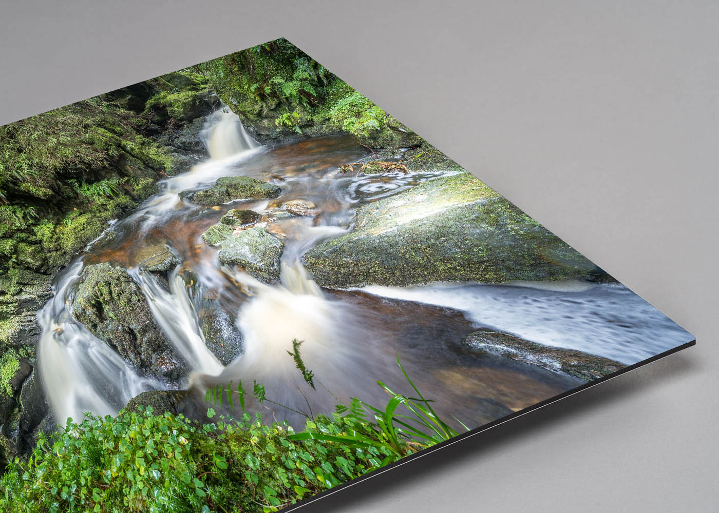 Aluminium Dibond Mounted Prints