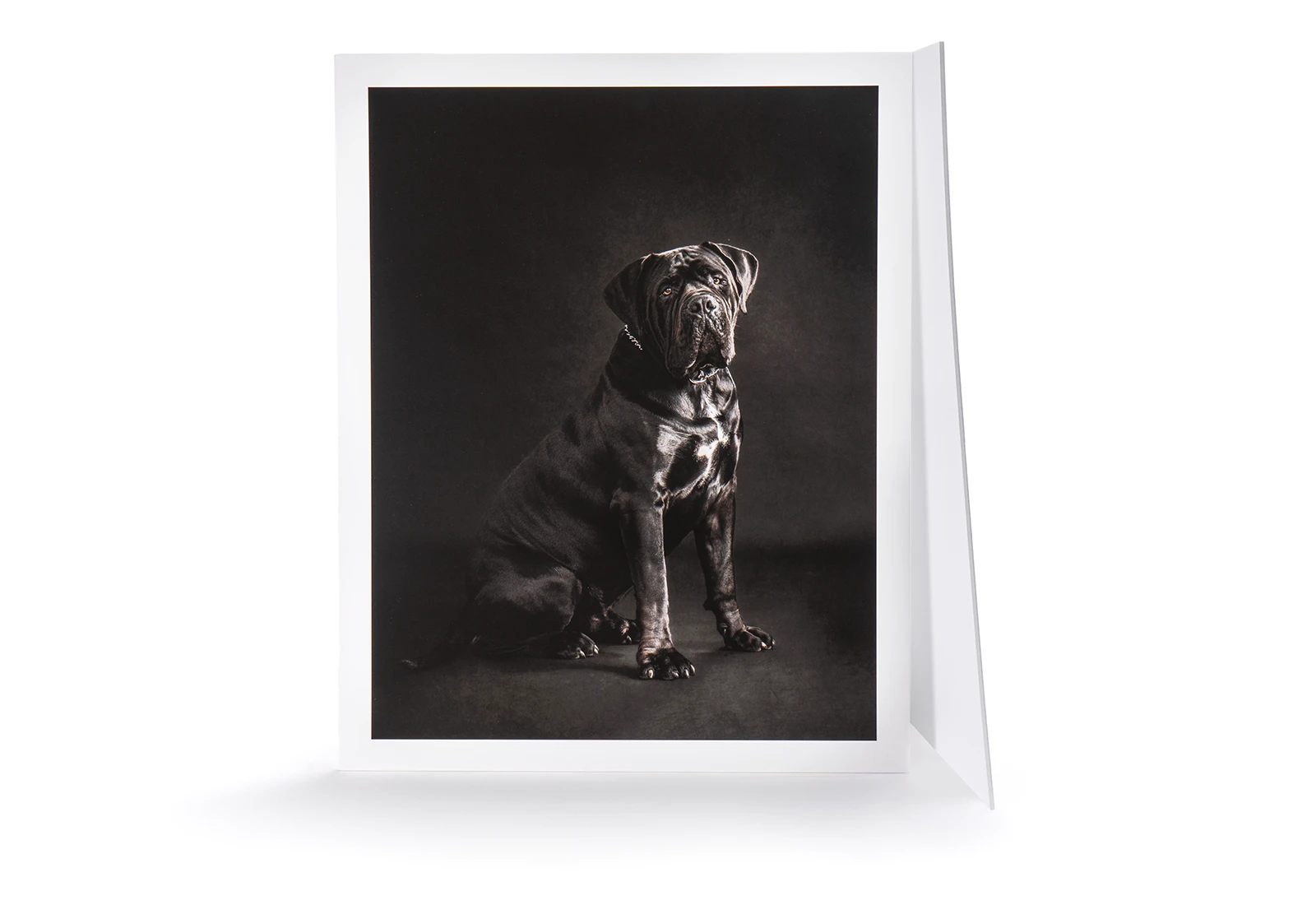 Competition Mounted Prints