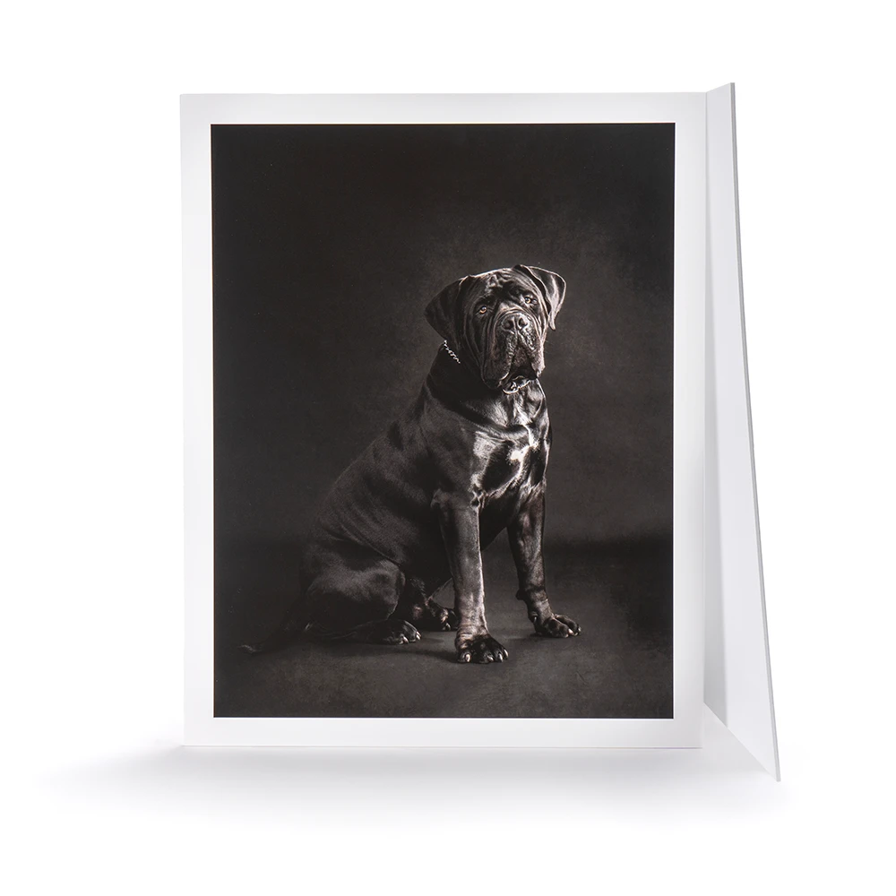 Competition Mounted Prints