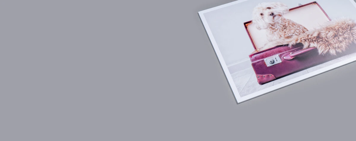 Competition Print
