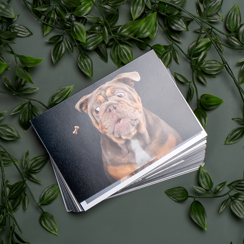 Eco Friendly Print Packaging