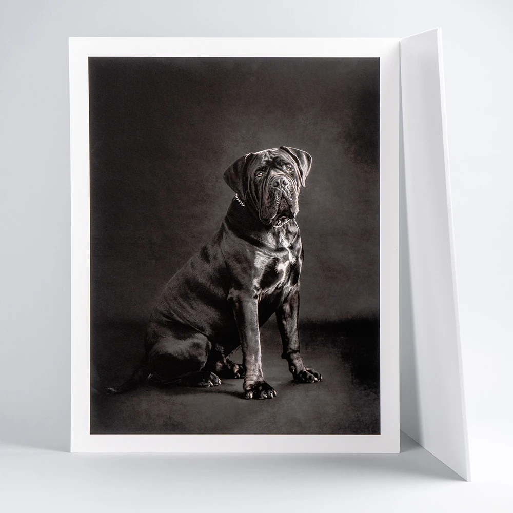 Competition Mounted Prints