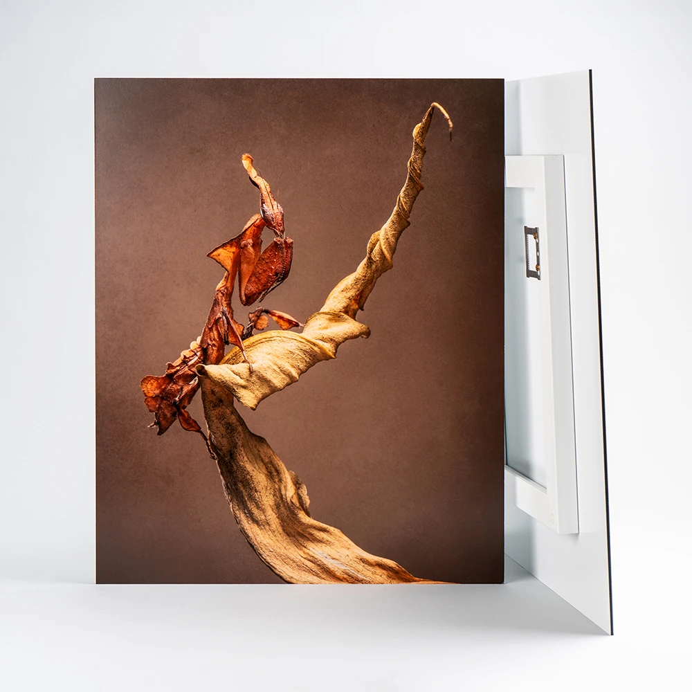 Aluminium Dibond Mounted Prints