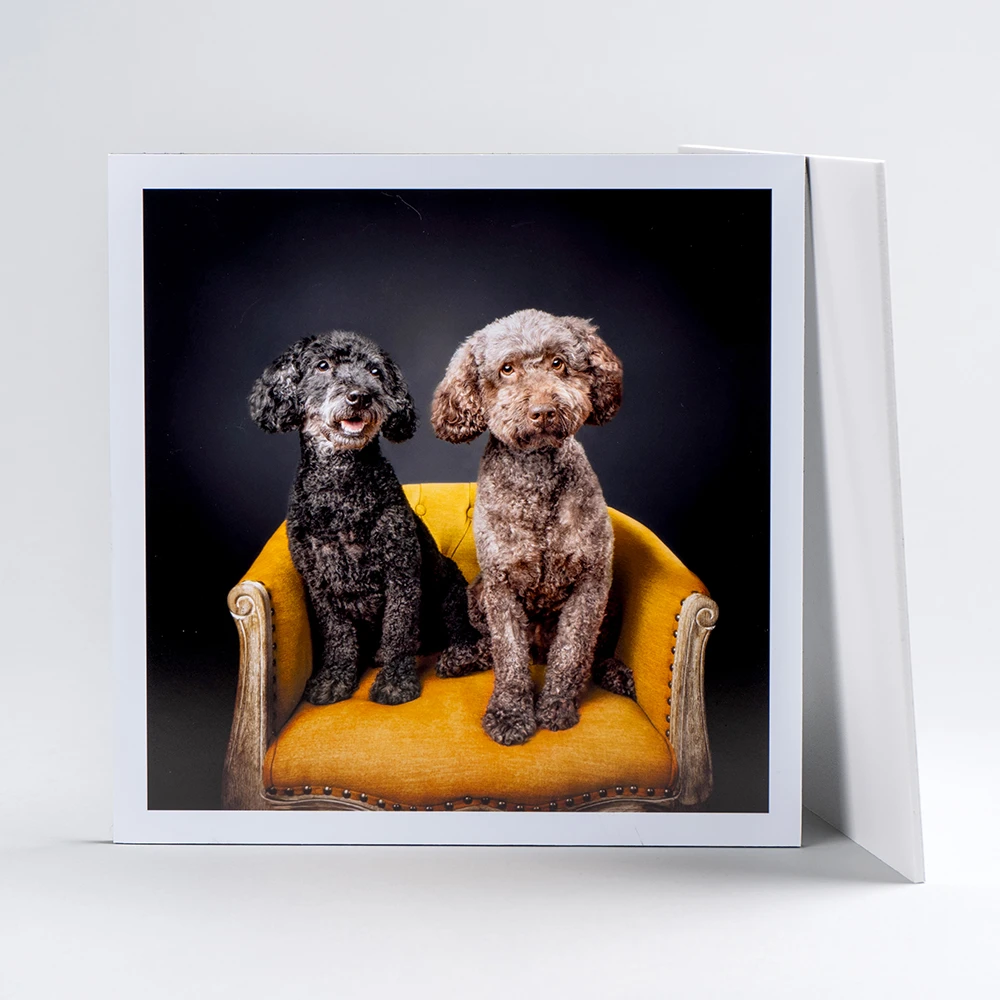 Foamex Mounted Prints