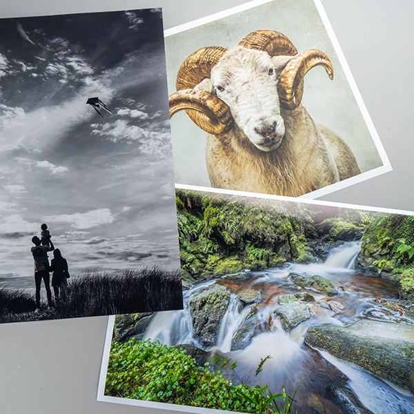 Large Format Photo Printing