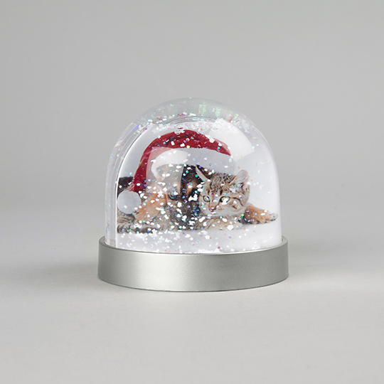 Photo Glitter Snowdome Photo Glitter Snowdome
