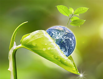 Eco Alt