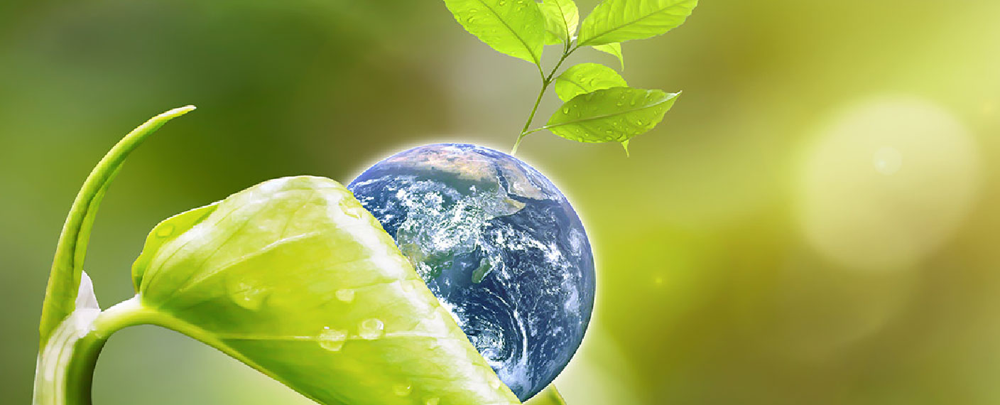Eco Friendly Policy